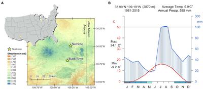 Wood Anatomy of Douglas-Fir in Eastern Arizona and Its Relationship With Pacific Basin Climate